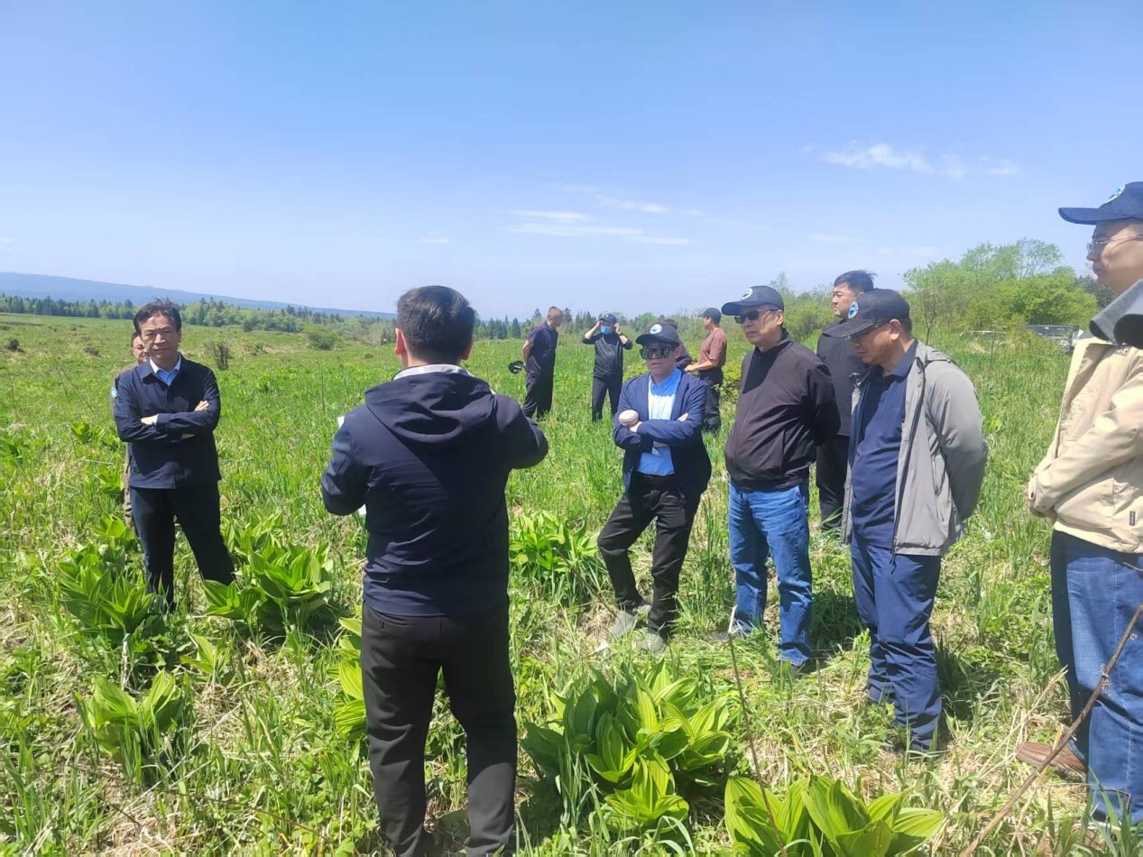 Expert Group Conducts Field Investigation on Wind-Damaged Forest Recovery in Changbai Mountain