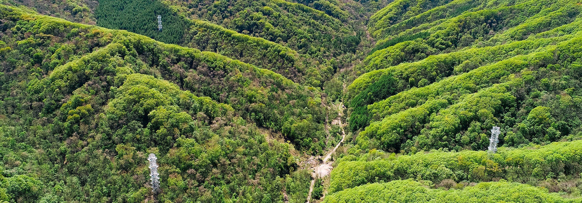 Institute of Applied Ecology of CAS