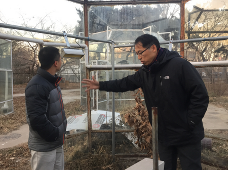 Prof FENG Zhaozhong and Prof LE Xi Visited IAE