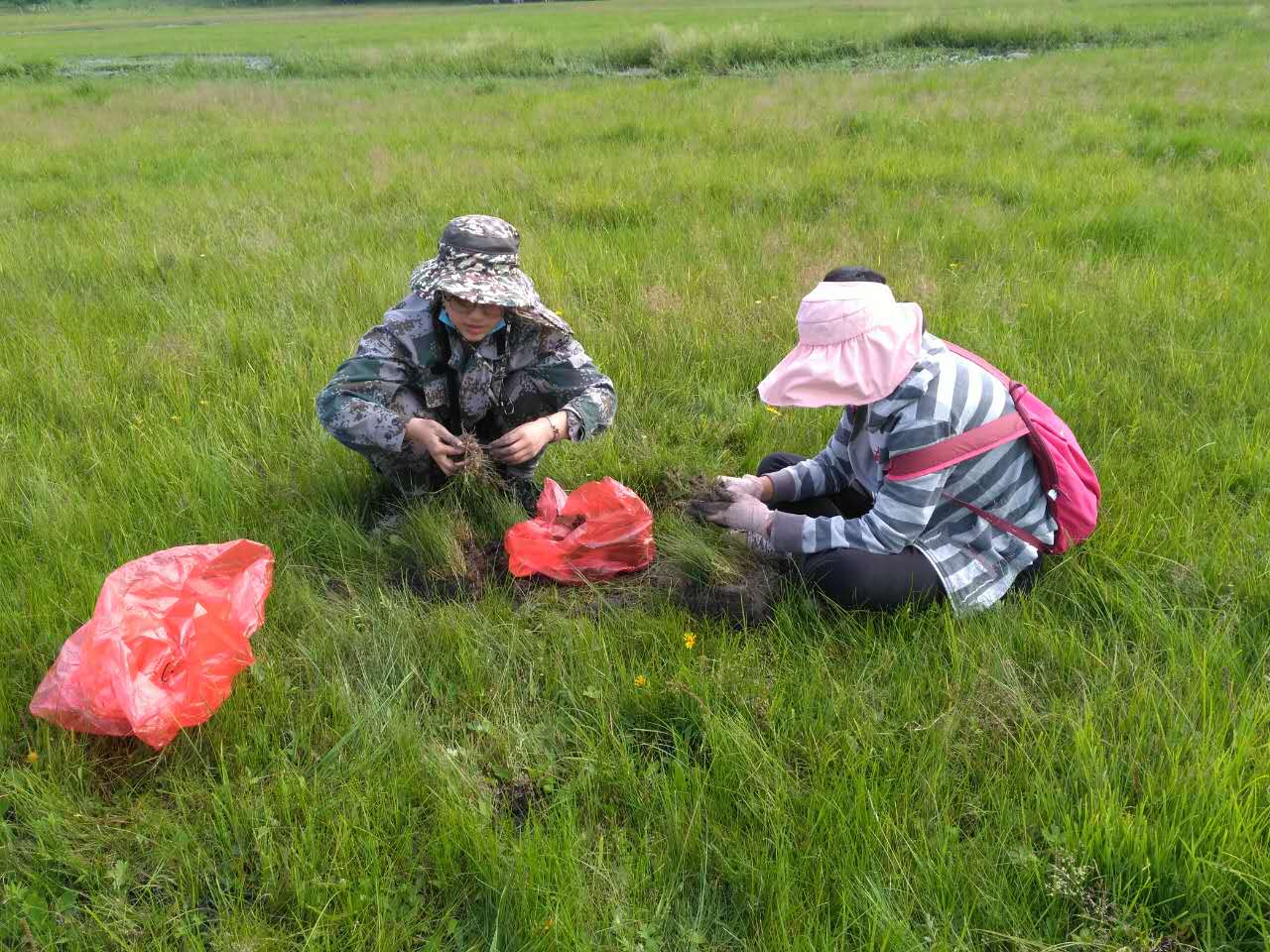 Inspection on Daheishan and SaihanUrethane National Forest Ecological Research Station