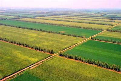 Annual Summary (2017) for the National Key R & D Project: Principals and Ways for Fertile Soil Cultivation in Central and East China