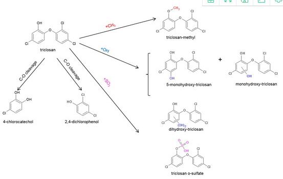 Group for Convergencebehavior of triclosan in environment.