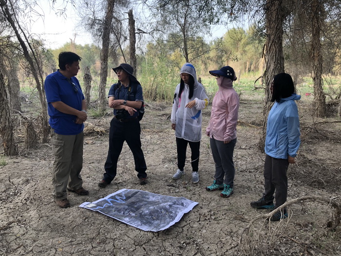 Professor ZHU Jiaojun leads team to investigate the Three-North Protective Forests in Xinjiang