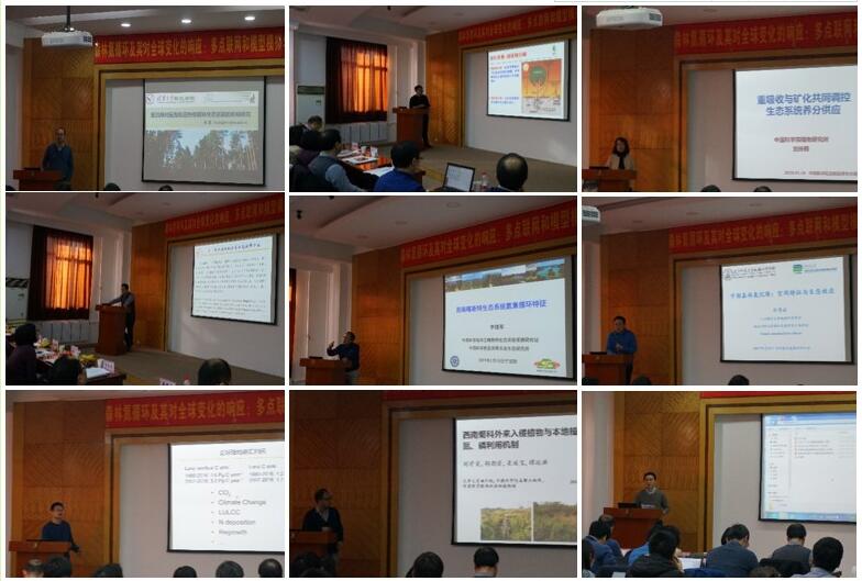 Seminar on Forest Nitrogen Cycle Held in Shenyang