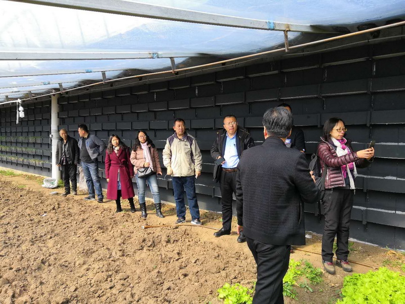 Scientists Promote Ecological Restoration and Agroforestry Economic Transformation & Development