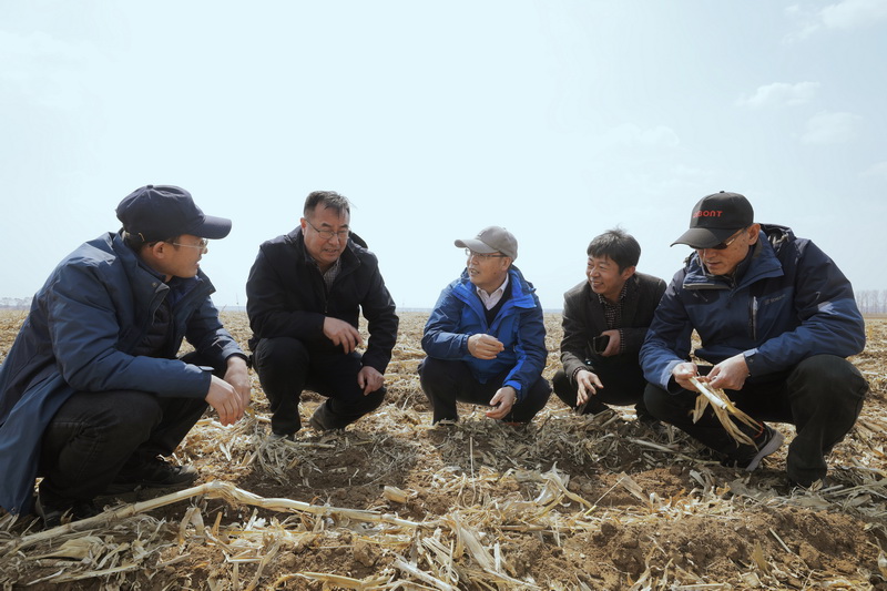 IAE Provides Technical Support to Promote Conservation Tillage in Liaoning Province
