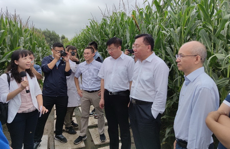 ZHANG Yaping, Vice President of CAS, Visits IAE's Lishu Conservation Tillage R&D Base