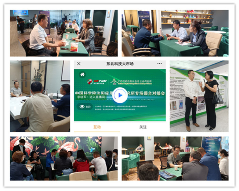 Matchmaking Event for Promoting Transformation of IAE's Scientific & Technological Achievements in Liaoning is Held