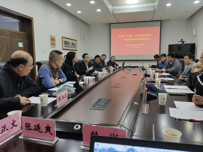 Liaoning Unveils its 