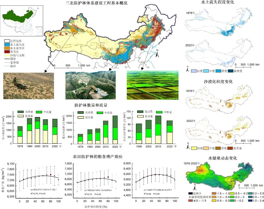 China's Largest Forestry Eco-engineering Program Marks 45 Years, Study Evaluates Impact