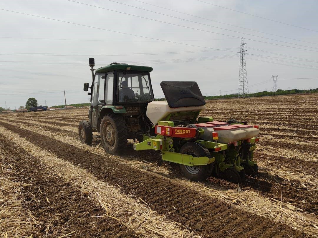 ‘Liaohe Model’ Offers New Path for Protecting China’s Black Soil Granary