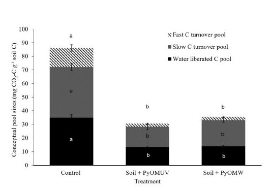 Photooxidation of Pyrogenic Organic Matter Reduces Its reactive, Labile C Pool and the Apparent Soil Oxidative Microbial Enzyme Response
