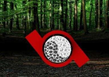 The outsized role of soil microbes