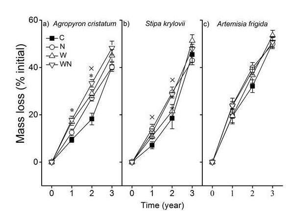 Responses of Plant Litter Decomposition and Nutrient Release Rate to Water and Nitrogen Addition in Grassland