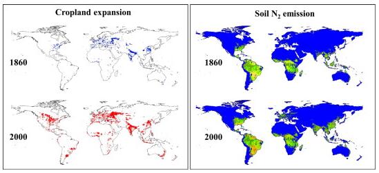 Estimation on Global Farmland Nitrogen Cycling
