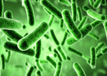 Scientists Underpin Varying and Constant Settings Determine Microbial Responses to Temperature