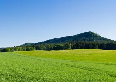 Scientists Explore the Mechanisms Underlying Global Environmental Change Effects on Grassland Productivity