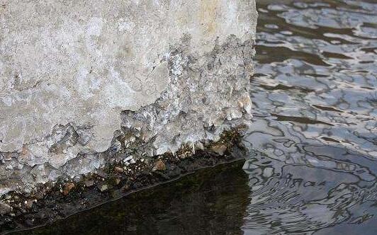 Scientists Find Effect of Freeze-Thaw Cycles on Terrestrial Nitrogen Cycling