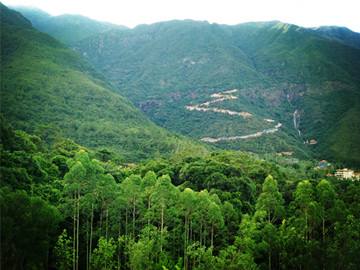 Scientists Reveal the Influence of Forest Conversion on the Temporal Patterns of Microbial Beta-diversity in Subtropical China
