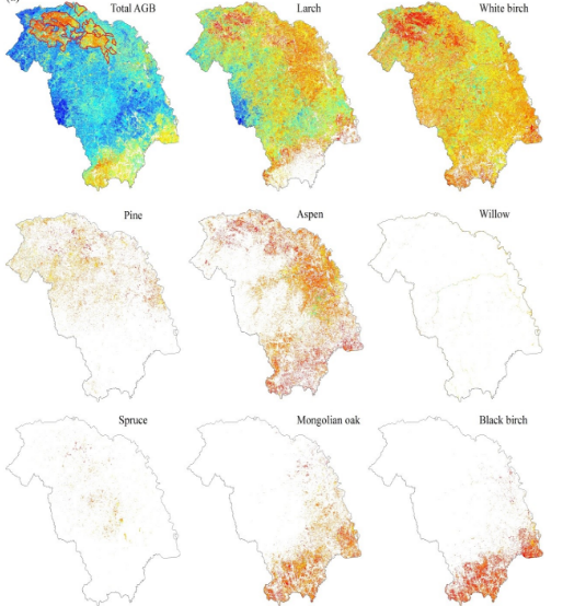 Researchers Map and Estimate Species-Level Biomass in Chinese Boreal Forests
