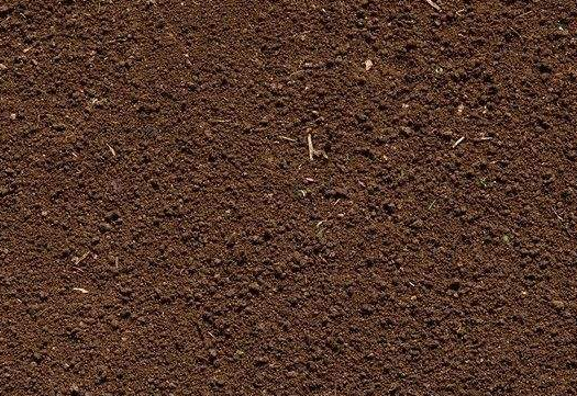 Scientists Find Effect of Mixed Inorganic and Organic Nitrogen Addition on Soil Microbial Biomass and P Turnover