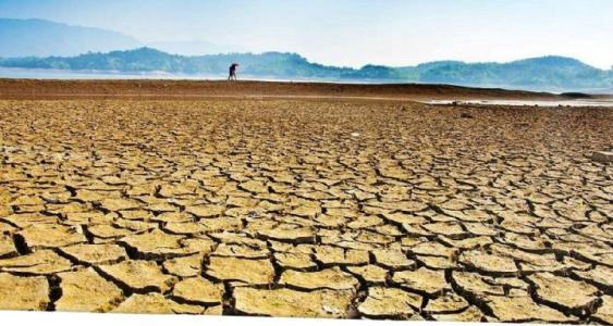 Plant Community Nutrition Differently Respond to Experimental Drought along Aridity gradient in Grasslands of Northern China, Scientists Say