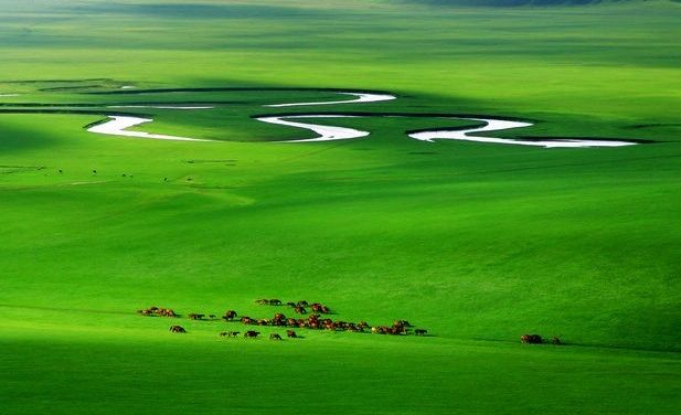 Researchers Find the Influence Factors of Nitrogen Deposition in a Temperate Meadow Steppe