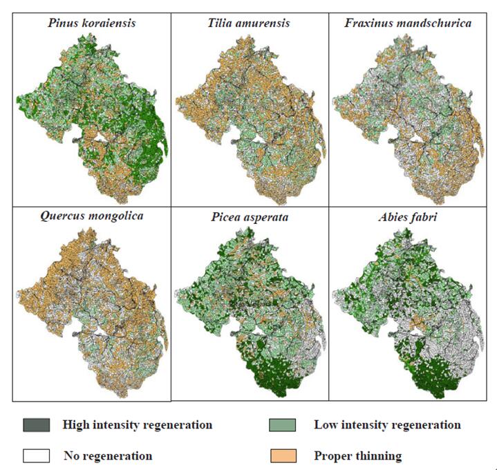 Scientists Developed an Integrated Multi-scale Approach for Restoring Degraded Forest Ecosystem