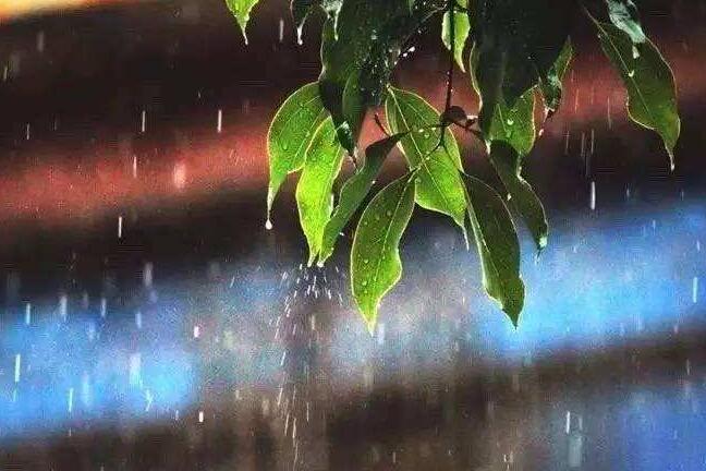 Researchers Reveal Seasonal Pattern of δ15N-NH4+ in Rainfall and NH3 Sources at Qingyuan Station, CAS