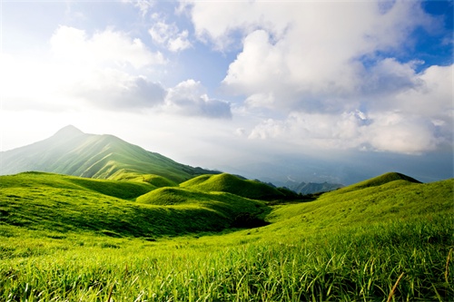 Researchers Identify Microbial Taxonomic and Functional Structure Patterns in Chinese Alpine Grasslands