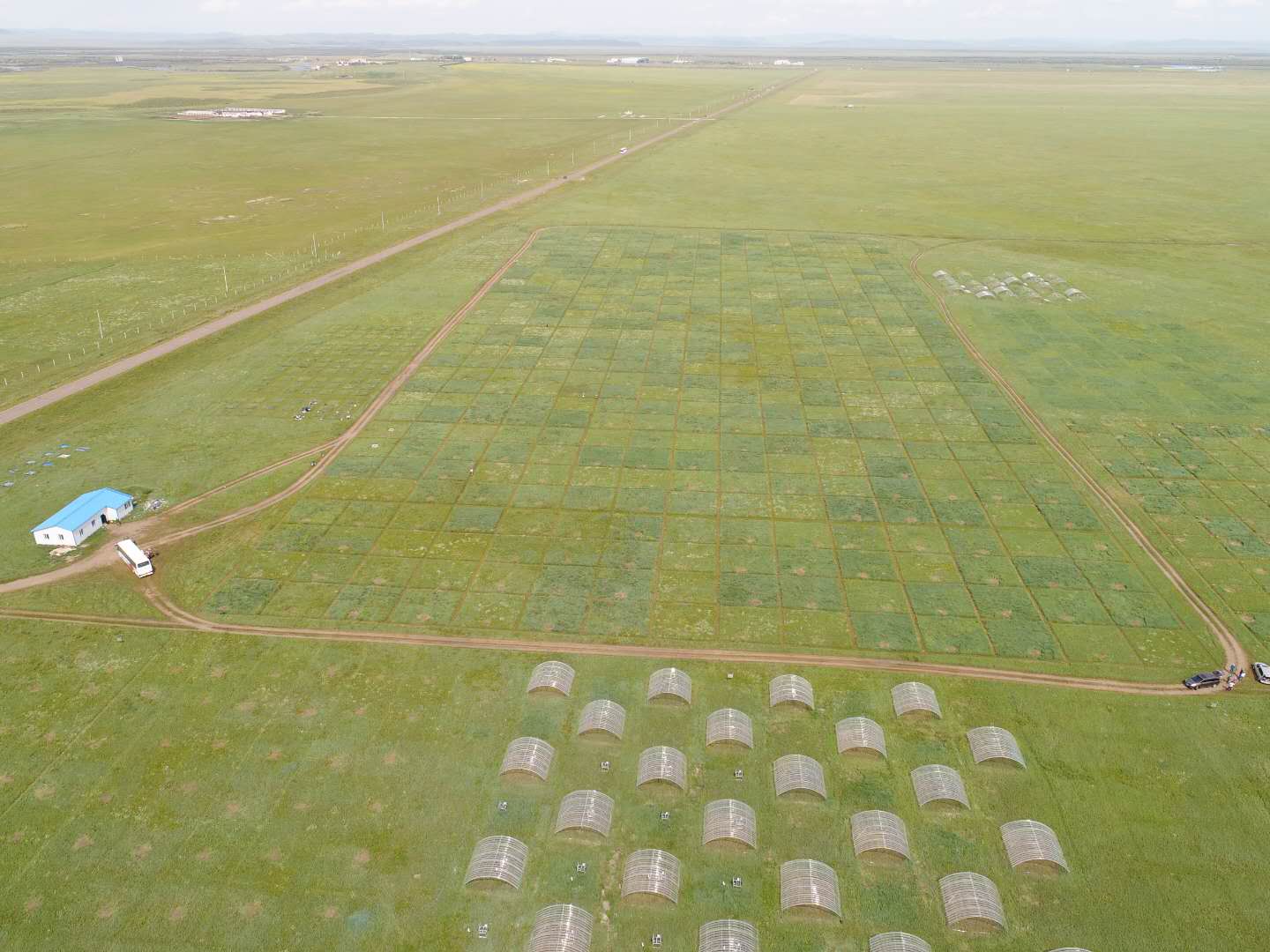 Mowing Mediate the Negative Effects of Nitrogen Deposition on Plant Diversity
