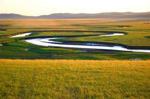 Scientists Show How Nitrogen Deposition Affects Plant Community Nutrient Status