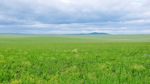 Biodiversity Facilitates Intra-specific Nutrient Conservation