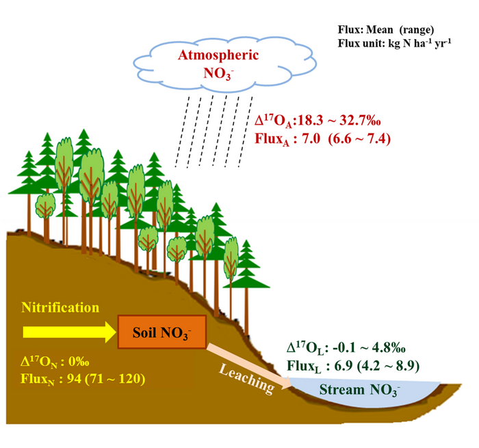 Researchers Quantify Ecosystem-scale Nitrification Rate