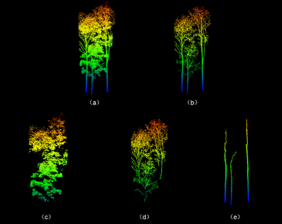 Novel Structual Descriptor to Predict Rainfall Interception by Forest Canopy