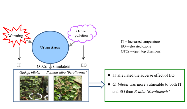 Scientists Discover Warming-ozone Interactive and Combined Effects on Urban Trees