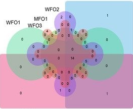 Researchers Firstly Uncover Viral Abundance and Diversity in Oil Reservoir
