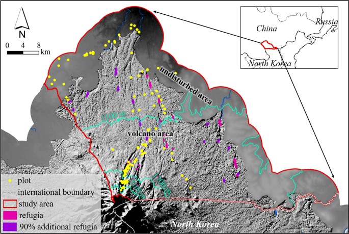 Increasing Effects of Remnant Seed Sources on Post-volcanic-eruption Forest Landscape Recovery