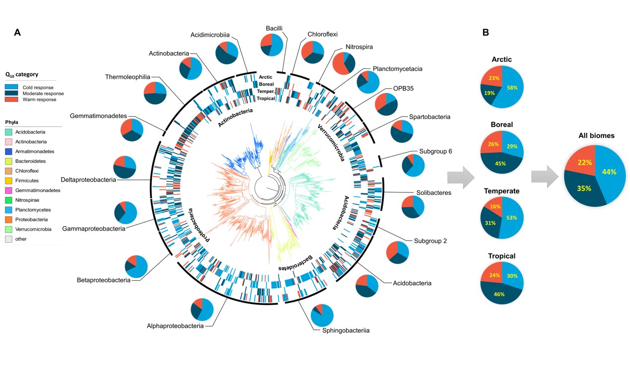 The Physiological Characteristics of Specific Microbial Taxa Regulate the Function of Microbial Assemblages