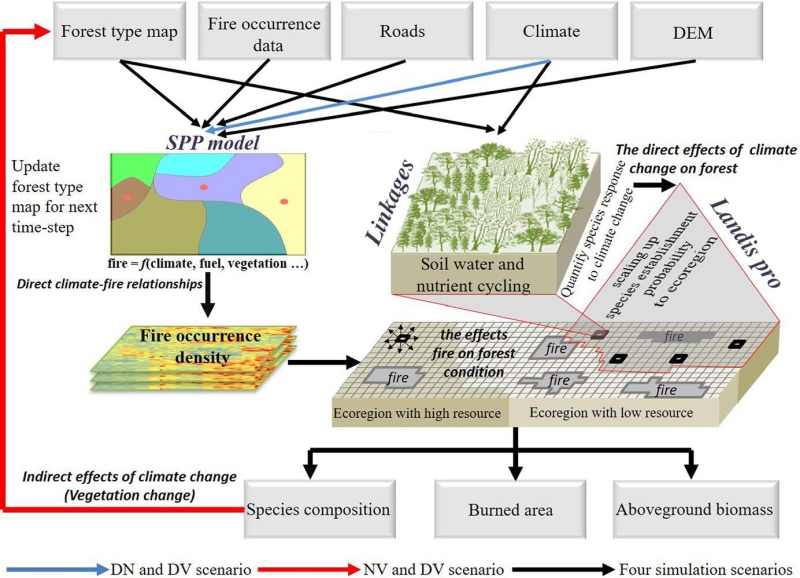 Shifts in Forest Composition Would Reduce the Direct Effects of Climate Change on Fire Regimes in the Boreal Forests of Northeastern China