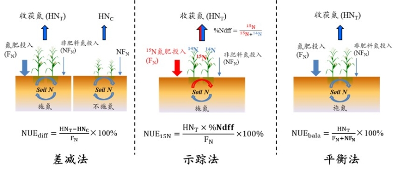 Different Approaches for Quantifying Crop Nitrogen Use Efficiency May Result in Huge Difference in NUE Estimates