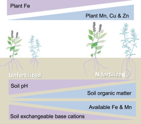 Effects of Different Nitrogen Compounds Addition on Plant-soil Micronutrients in a Meadow Steppe
