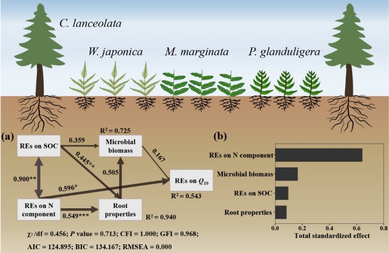 Decomposition of Rhizospheric Soil Organic Carbon is More Sensitive to Climate Warming than Non-rhizospheric SOC