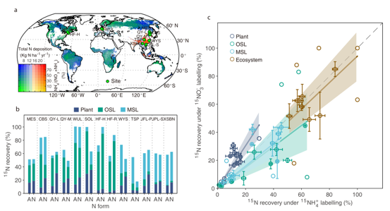 Researchers Quantify Retention of Deposited Ammonium and Nitrate and Its Impact on Global Forest Carbon Sink