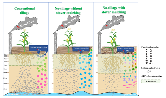 Conservation Tillage Regenerates Healthy Deep Soil Towards Sustainable Agriculture