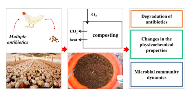 Transfer and transformation of heavy metals and antibiotics in the process of broiler breeding-manure-composting