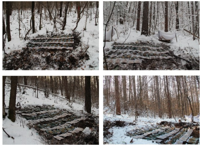 How Litter Quality, Fauna, and Decomposition Site Influences Litter Decomposition