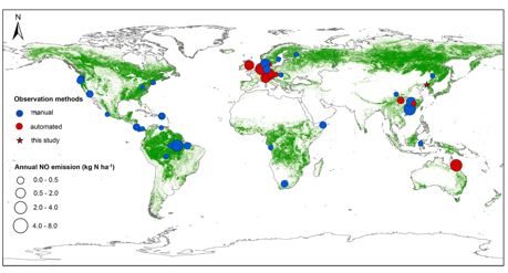 Soil Temperature Drives the Nitric Oxide Emission from A Temperate Forest