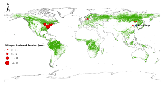 Nitrogen deposition promote tree growth and drive proportionally more photosynthate allocation into wood than leaves in temperate and boreal forests