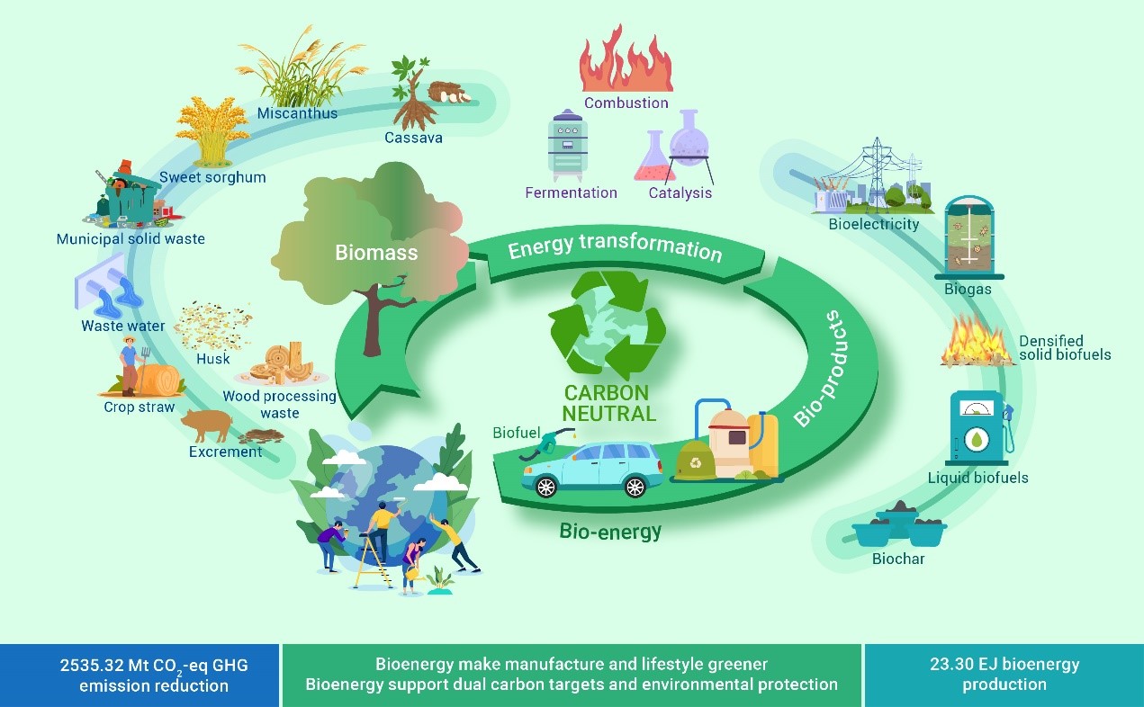 Energy Conservation and Carbon Reduction Potential for Multi-Source and Multi- Approach Biomass Energy Conversion